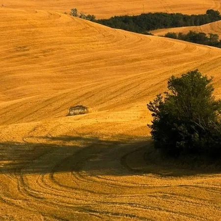 Montaperti
